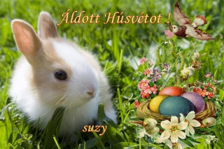 Áldott Húsvétot...