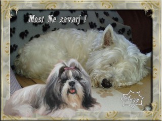 Most ne zavarj...