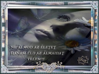 Ne álmodd az életet...