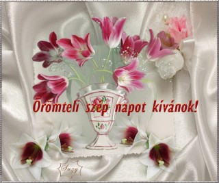 Örömteli szép napot ...