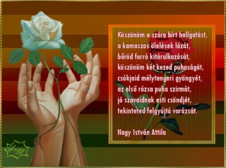 Köszönöm a szóra bírt hallgatásodat...