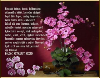 Névnapodra sok szeretettel