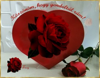 Köszönöm, hogy gondoltál rám