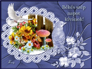 Békés szép napot kívánok