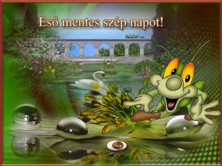 Esőmentes szép napot