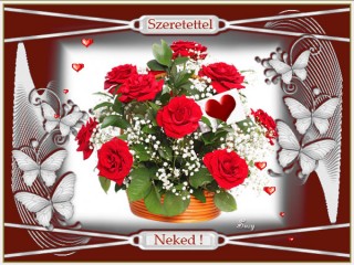 Szeretettel neked