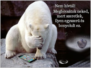 Nem hívtál...