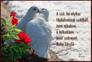 A szó olykor fájdalommal szállhat...