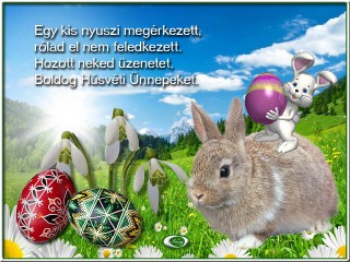 Áldott Húsvéti ünnepeket