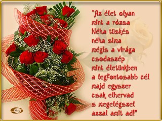 Az élet olyan mint a rózsa