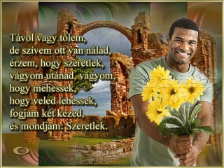 Távol vagy tőlem, de szívem ott van nálad