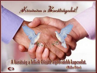 Köszönöm a barátságodat