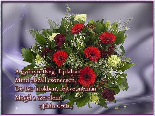 A gyönyörűség, fájdalom, mind elszáll csendesen