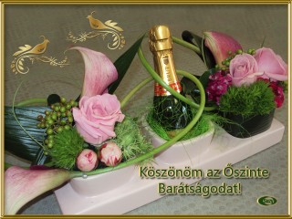 Köszönöm az őszinte barátságodat