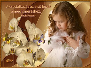 Csodálkozás az első lépés