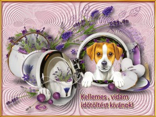 Kellemes vidám időtöltést kívánok ...