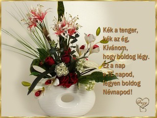 Sok szeretettel kívánok boldog névnapot !