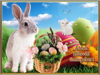 Áldott Húsvéti ünnepeket kívánok