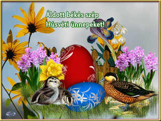 Húsvéti szép ünnepet