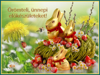 Kellemes ünnepvárást